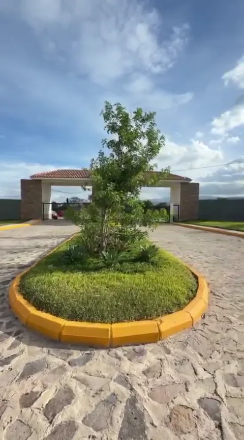 Miniatura de Los jardines del acceso