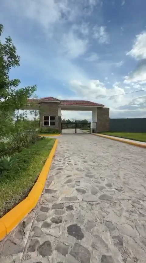 Miniatura de La llegada al proyecto
