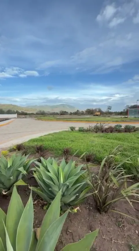Miniatura de Una vista del entorno